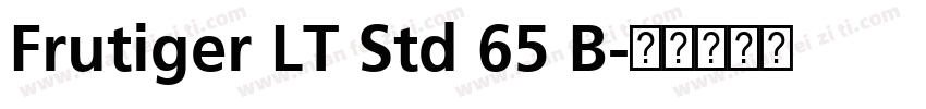 Frutiger LT Std 65 B字体转换